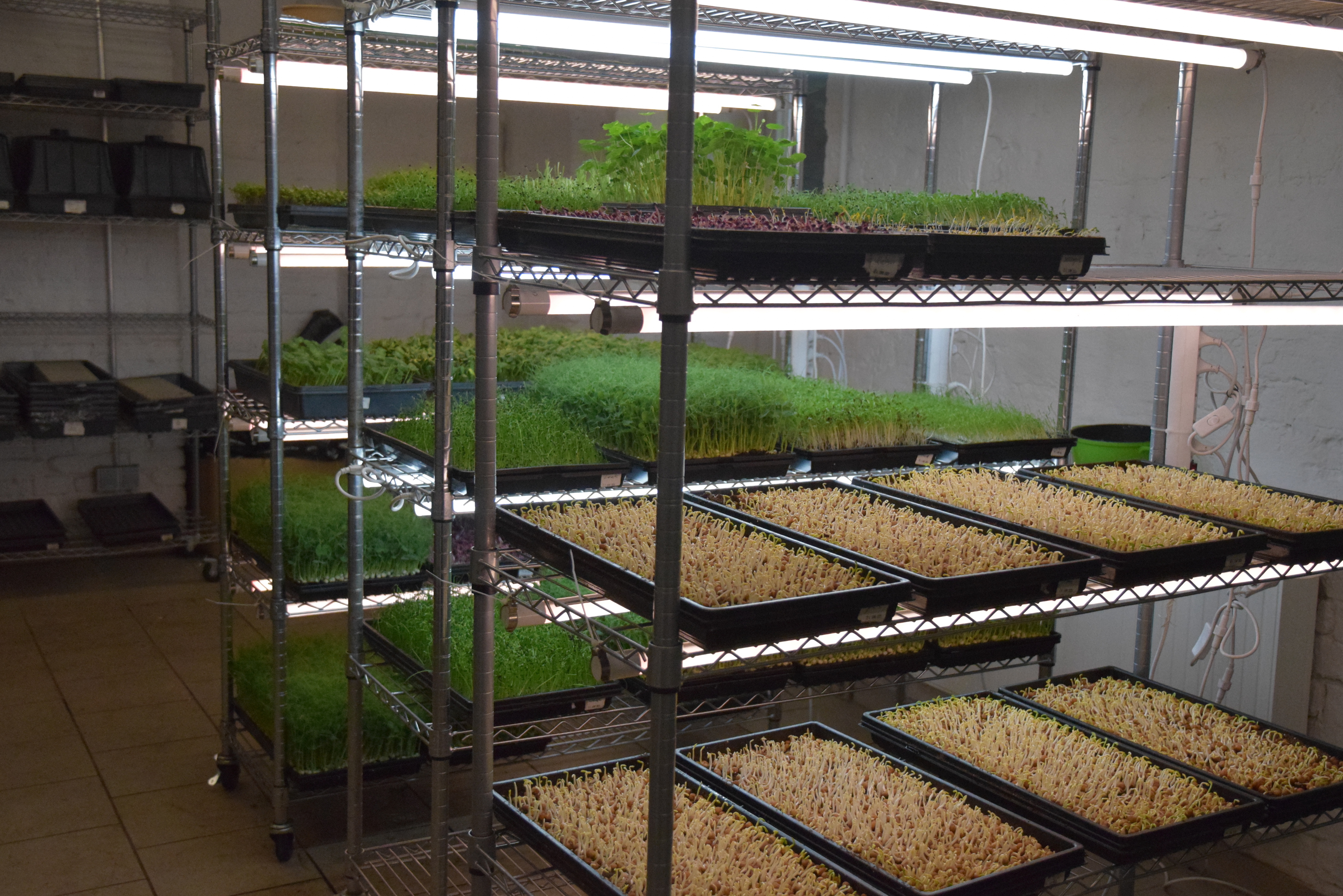 Multi-tier growing shelves