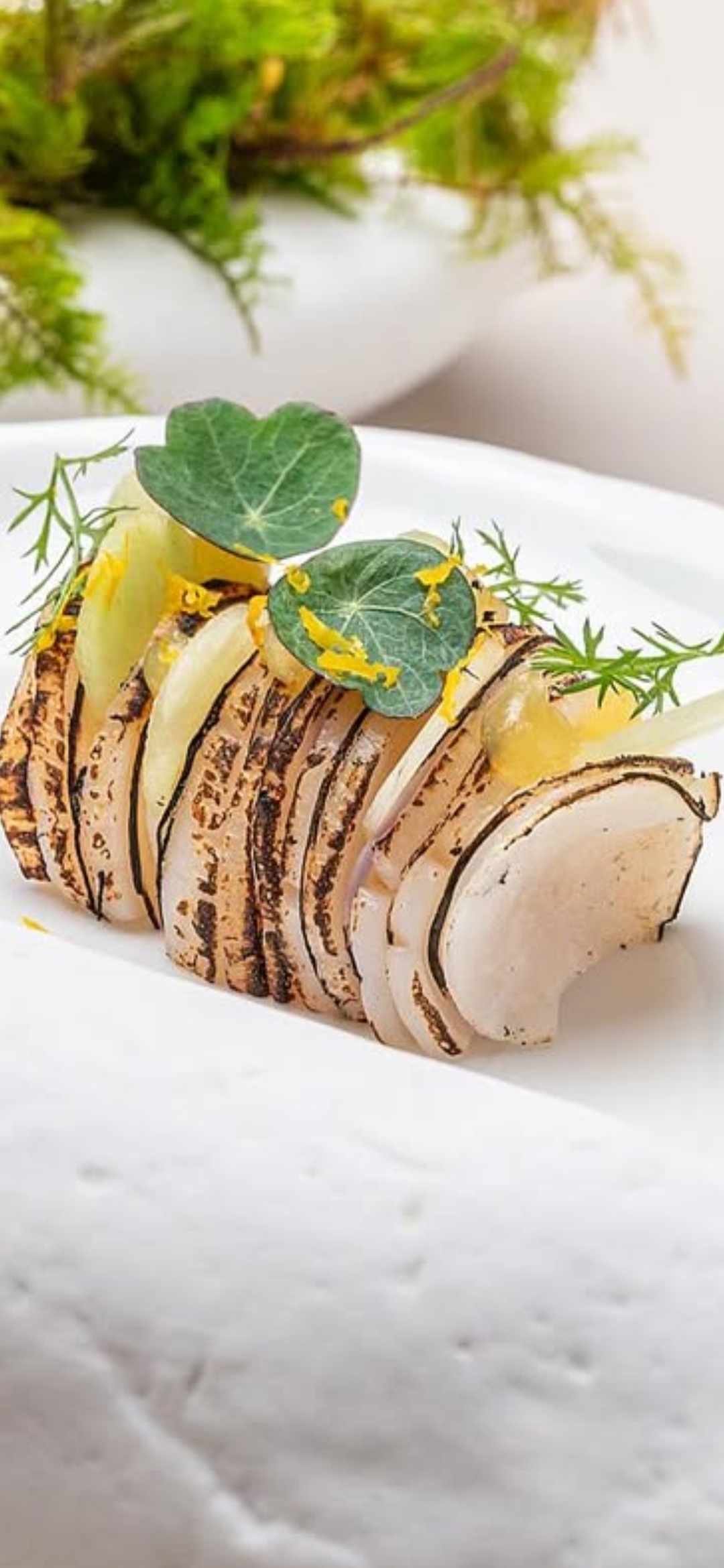 Microgreens as garnish on professional plate